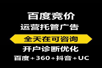 托管竞价sem案例分享：某电商平台的成功之路